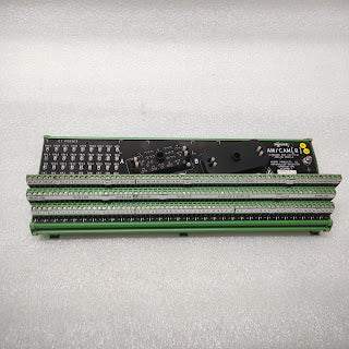 MOORE SAM/CAM-R STANDARD AND CRITICAL ANALOG MODULE 16416-1-3