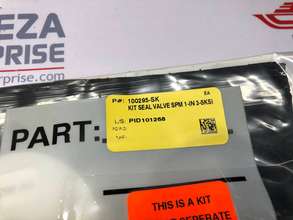 OCEANERING 100818-RK REPAIR-KIT VALVE,SPM,1 IN, 5KSI,NC KIT