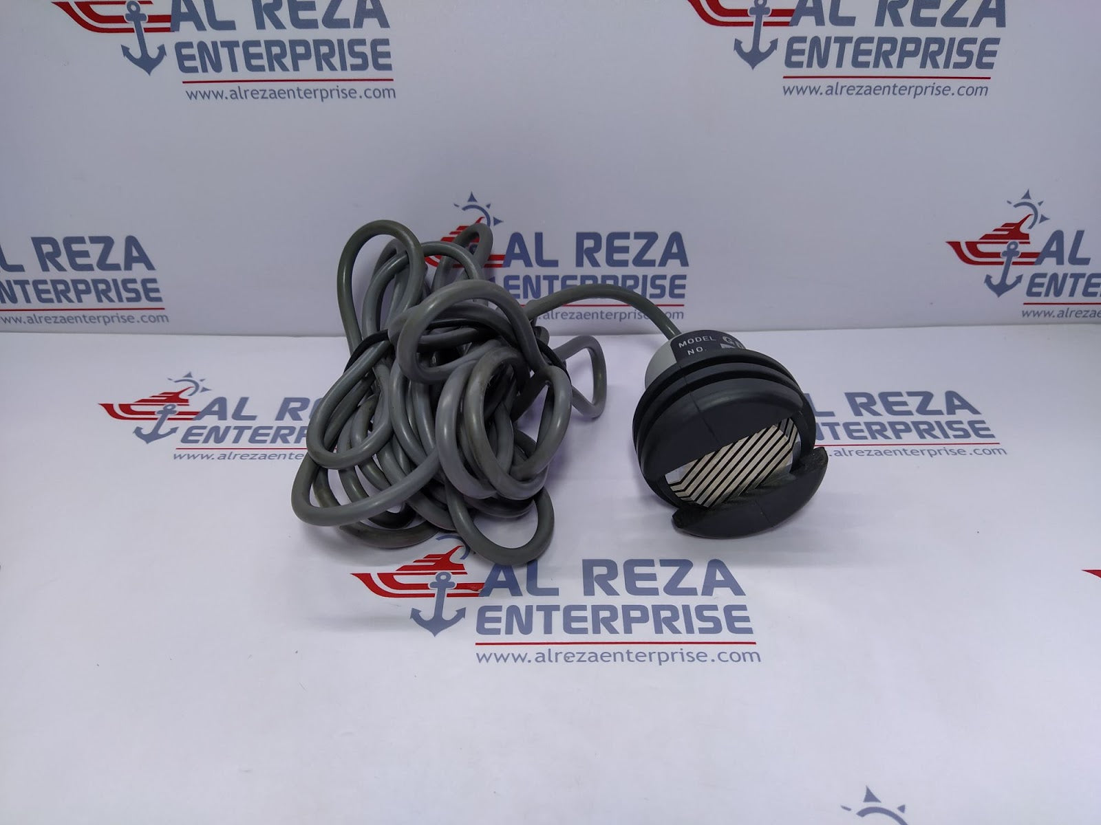 Riken Keiki GD-F5A Gas Detector